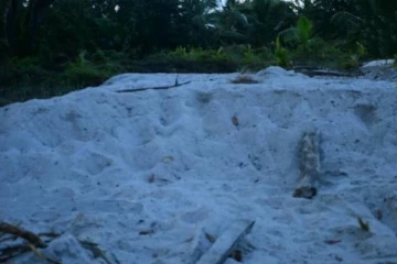 கொள்ளைக்காரர்களிடம் இலஞ்சம் வாங்கும் பொலிஸார்! புத்தளம் மக்கள் விசனம்