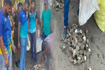 மன்னாரில் பல லட்சம் ரூபாய் பெறுமதியான சங்குகளுடன் மூவர் கைது