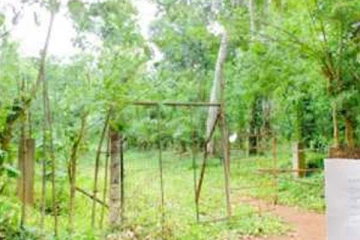 පාස්කු ප්‍රහාරයේ මහ මොළකරු සහරාන් හසීම්ගේ වත්තේ නිධන් හෑරු 3කට වෙච්ච දේ.