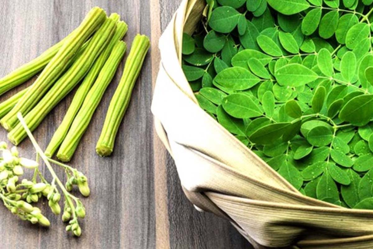 கேரளா ஸ்டைலில் முருங்கைக்கீரை தோரன்.. ஒருமுறை இப்படி செய்து சாப்பிடுங்க | How To Make Kerala Style Murungai Keerai Thoran