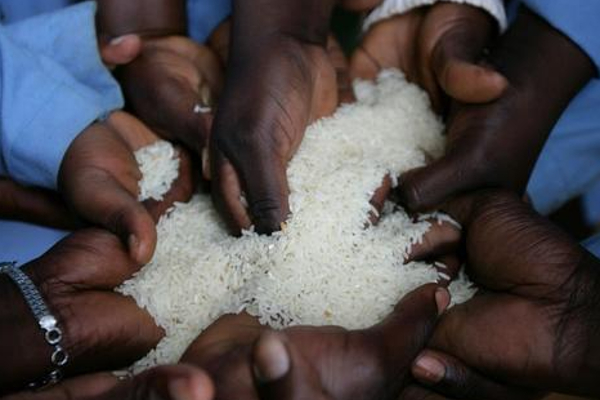 அரிசி தொடர்பில் வெளியான அதிர்ச்சித் தகவல்! | Shocking Information About Rice
