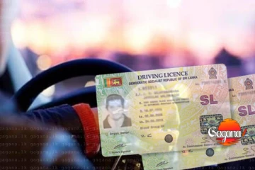 මේ අවුරුද්දේ ඉඳන් අලුත් රියදුරු බලපත්‍රයක් - රජයෙන් විශේෂ දැනුවත් කිරීමක්