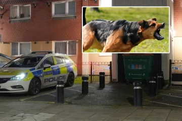 லண்டனில் நாய் தாக்குதலில் 42 வயதுடையவர் உயிரிழப்பு: பெண் உரிமையாளர் கைது