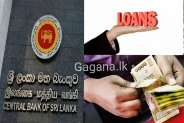 සහන පොලියට ණය දෙන්න රජය තීරණය කරයි..මුලින්ම දෙන පිරිස මෙන්න..