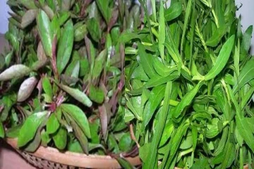 பொன்னாங்கனி கீரையில் இவ்வளவு உள்ளதா?