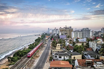 கொழும்பில் உயிரிழந்த மருமகனின் மாமியார் செய்த மோசடி