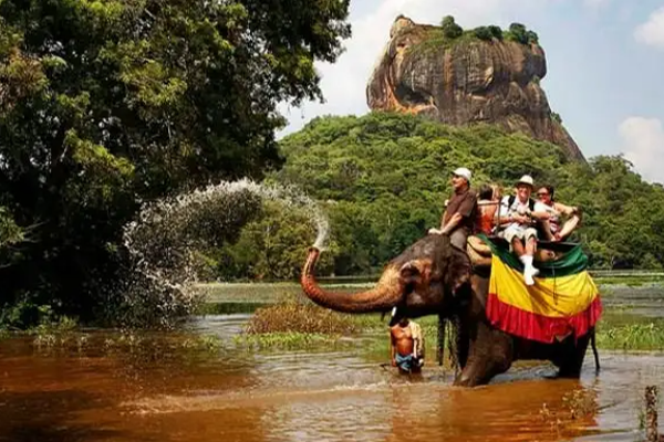 இலங்கை தொடர்பில் முக்கிய அறிவிப்பை வெளியிட்ட சுவிஸ்! | The Swiss Made An Important About Sri Lanka
