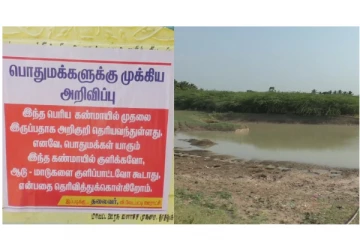 விளாத்திகுளம் அருகே உள்ள குளத்தில் முதலைகள் அட்டூழியம் - மக்கள் பீதி