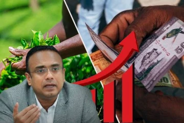 பெருந்தோட்ட தொழிலாளர்களின் சம்பளம் தொடர்பில் மனுஷ நாணயக்கார வெளியிட்ட தகவல்