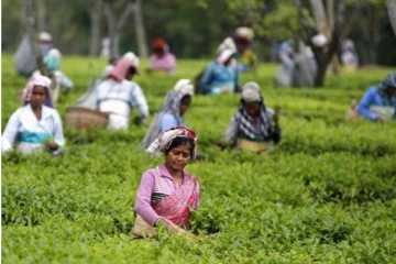 அரசின் தீர்மானத்திற்கு எதிரணி எம்.பி வரவேற்பு