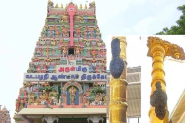 முருகன் கோவிலில் திடீரென தோன்றி பக்தர்களை பக்தி பரவசத்தில் ஆழ்த்திய அதிசய நிகழ்வு!