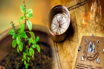 பணப்புழக்கம் அதிகரிக்க வாஸ்துப்படி துளசிச்செடியை எப்படி பாதுகாப்பது?