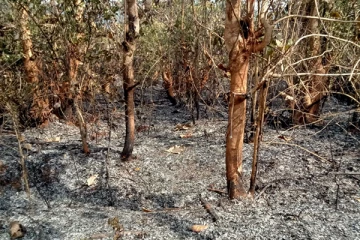 முள்ளியவளை கூழாமுறிப்பு தேக்கம் காட்டில் பரவிய காட்டுத் தீ