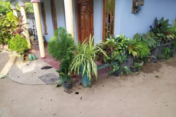 மூன்று இளம் பிக்குகள் வன்புணர்வு! விகாராதிபதியின் பிணைக்கு ஒப்பமிட்டவர்களின் வீடுகள் மீது தாக்குதல்