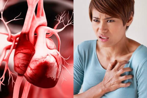 மருத பட்டை நீரைக் குடிப்பதால் கிடைக்கும் நன்மைகள் என்ன? | Drink Marudham Pattai Water What Is Correct Way