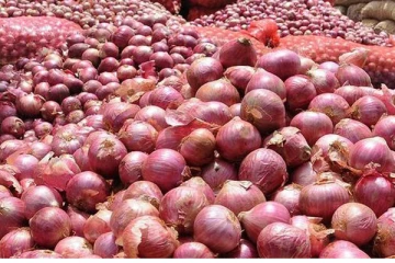 பதுக்கிவைக்கப்பட்டிருந்த பெரிய வெங்காயம் மீட்பு