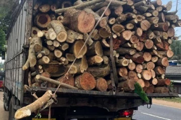 දර ලොරියේ කොටයක් ඇගට වැටීමෙන් පාසල් සිසුවාට තුවාල