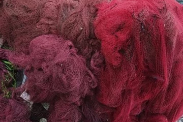 මුහුදු වෙරළක, නීතිවිරෝධී ධීවර දැලක සූක්‍ෂම ලෙස සඟවා තිබී හමු වූ දේ..