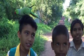 தினமும் பள்ளிக்கு செல்லும் அதிசய கிளி... மாணவர்களுக்கு துணையாக இருக்கும் ஆச்சரியம்!