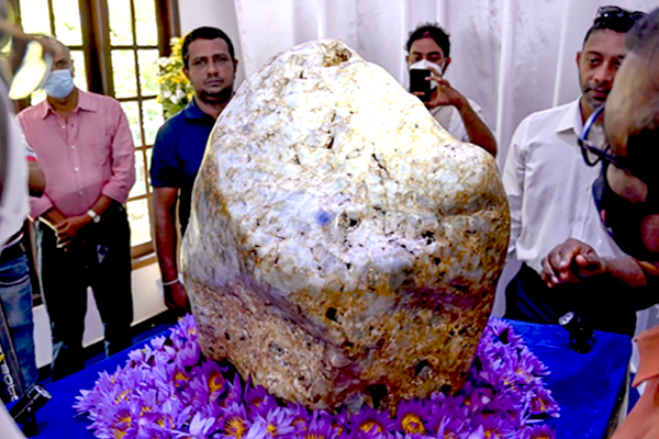 இலங்கையில் கண்டுபிடிக்கப்பட்ட  ஆசியாவின் ராணி; வாங்க முன்வந்துள்ள நாடு! | Queen Of Asia Found In Sri Lanka