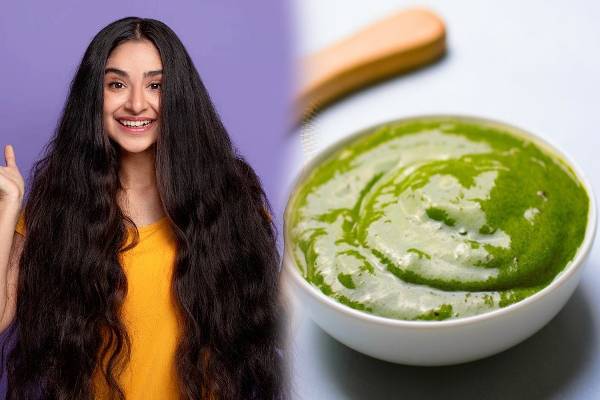 முடியின் அடர்த்தியை அதிகரிக்க உதவும் முருங்கை இலை: எப்படி பயன்படுத்துவது? | Homemade Hair Pack For Hair Growth In Tamil முடியின் அடர்த்தியை அதிகரிக்க உதவும் முருங்கை இலை: எப்படி பயன்படுத்துவது? | Homemade Hair Pack For Hair Growth In Tamil