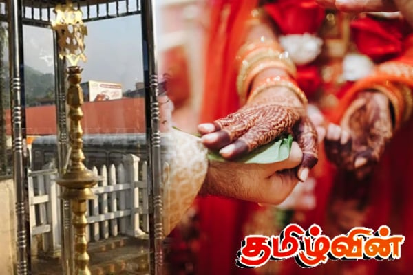 திருமணத்திற்கு பணம் திரட்டுவதற்காக இளைஞர்கள் செய்த மோசமான செயல் | 3 Thieves Arrested For Raise Money For Marriage