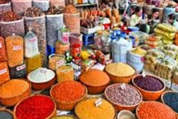 தமிழ் தரப்பிடம் ஒற்றுமை வேண்டும் - செல்வம் அடைக்கலநாதன் வலியுறுத்து | Tamil Side Needs Unity Selvam Adhikalanathan