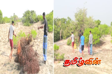 யாழில் விளையாட்டுக் கழகம் ஒன்று மேற்கொண்ட முன்னோடி செயல்