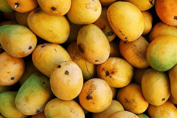கனடாவில் தமிழ் கடையில் மாம்பழங்களை வாங்கிய ஈழத்தமிழருக்கு ஏற்பட்ட நிலை | Eelam Tamil Bought Mangoes Tamil Shop In Canada