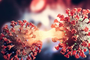 දරුණු දෙමුහුන් කොරෝනා ප්‍රභේදයක්. නව රෝගීන් 25ක් හමුවෙයි..