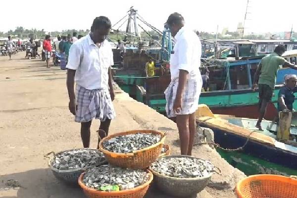 திடீரென கடல் உள்வாங்கியதால் பரபரப்பு! | Excitement As The Sea Suddenly Receded