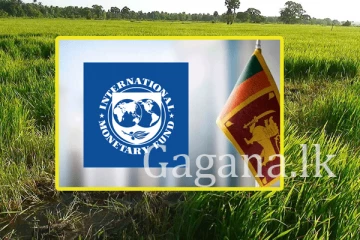 IMF එක මෙරට කුඹුරු ඉඩම් ආයෝජකයින්ට විකුණයි.?