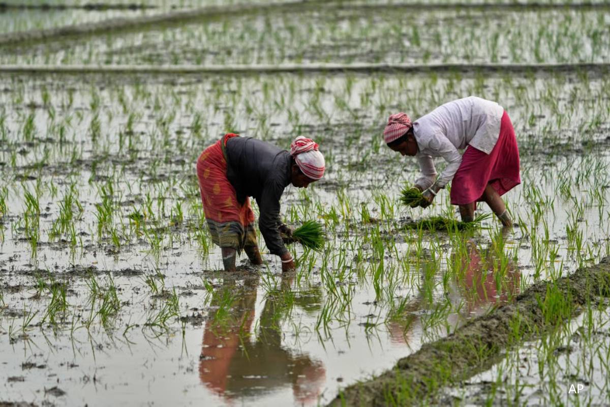 ஈரான் போரால் உலகத்துக்கு ஏற்பட இருக்கும் அடுத்த பாரிய பாதிப்பு | Iran War To Disrupt Global Food Supply