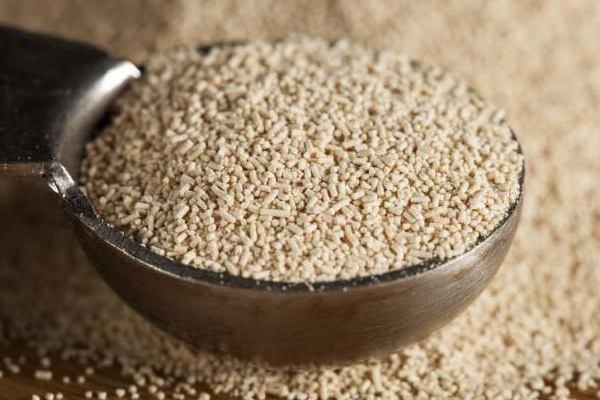 தக்காளி அமோக விளைச்சல் வேண்டுமா? இந்த பொருளை வைத்து உரம் செய்ங்க | Tomato Plant Growth Fast Homemade Yeast Fertilizer தக்காளி அமோக விளைச்சல் வேண்டுமா? இந்த பொருளை வைத்து உரம் செய்ங்க | Tomato Plant Growth Fast Homemade Yeast Fertilizer