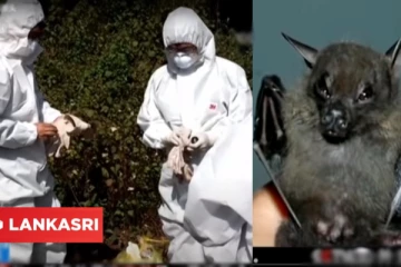 "வௌவால்களிடம் கடிவாங்கினோம்" உண்மையை ஒப்புக்கொண்ட சீன விஞ்ஞானிகள்! வெளியான அதிர்ச்சி வீடியோ