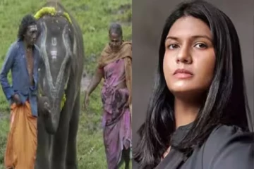 டைரக்டர் எங்ககிட்ட வாங்கிய பணத்த கூட திருப்பித்தரல - குமுறும் பொம்மன் பெள்ளி தம்பதி