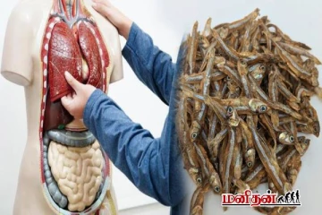 ஒரு நாளைக்கு 100 கிராம் கருவாடு சாப்பிட்டால் என்னென்ன நன்மைகள் கிடைக்கும் தெரியுமா?