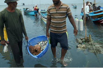 அம்பாறை மீனவர்களுக்கு அடித்த அதிஸ்டம்!