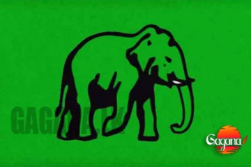 කඳුකරයේ බලට අතට ගන්නවා. තරුණ තනි අලියෙක් කියයි