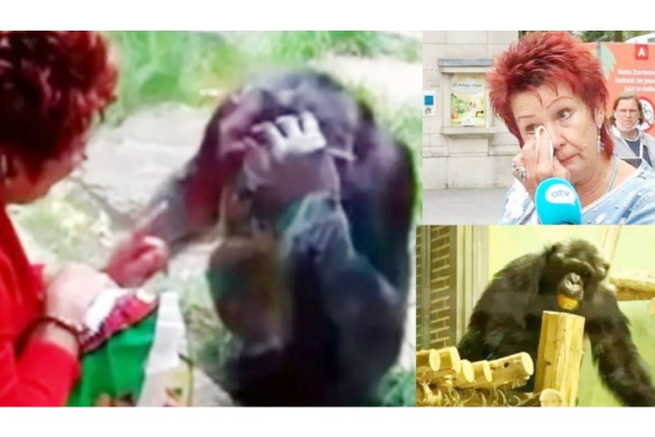 குரங்கிடம் காதல் வயப்பட்ட பெண்! அடுத்து நடந்த விபரீதம் | World Viral News