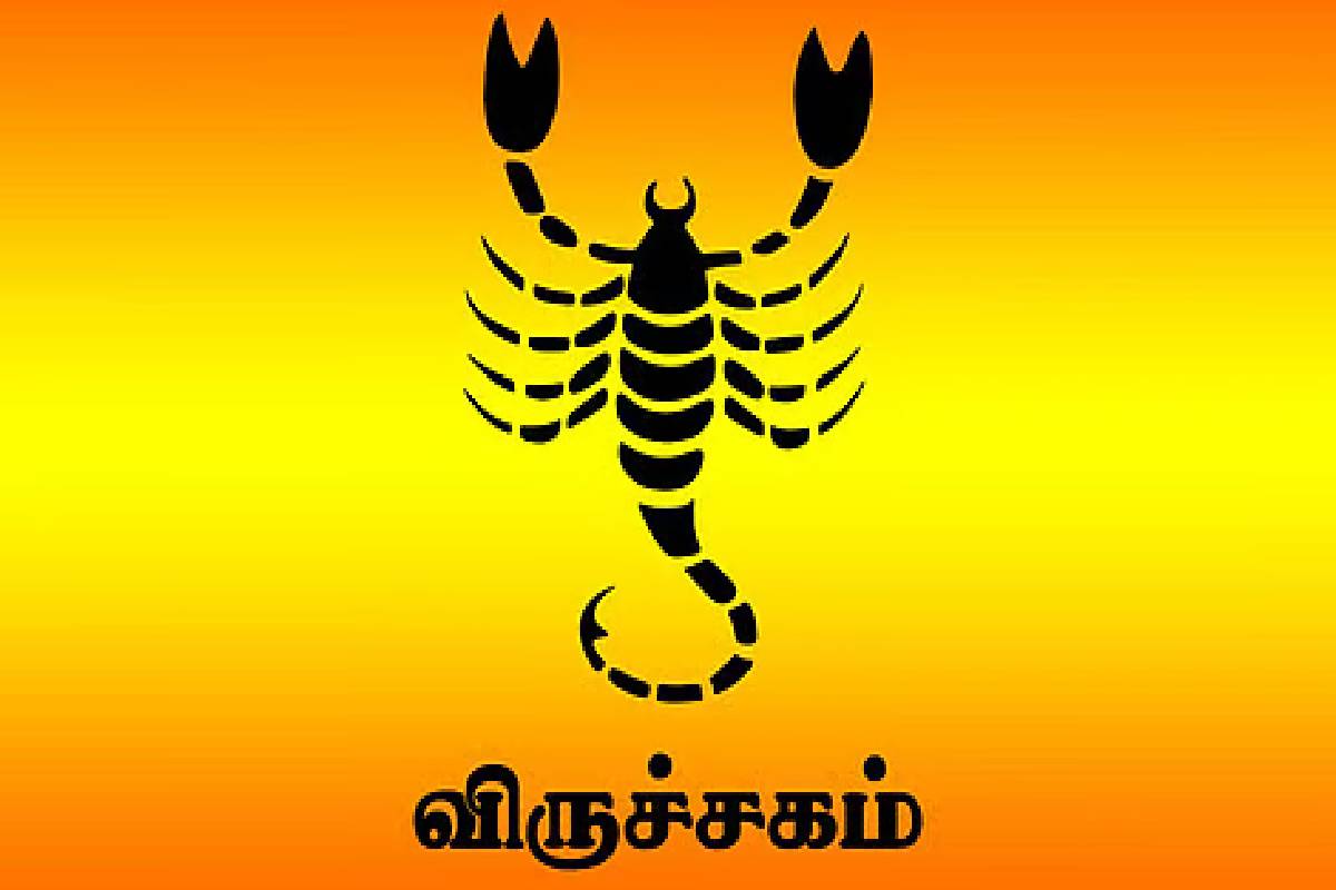 சூரியனின் நட்சத்திர பெயர்ச்சி ; பண மழை கொட்டப்போகும் ராசிக்காரர்கள் | Sun S Transit Zodiac Signs Receive Shower Money