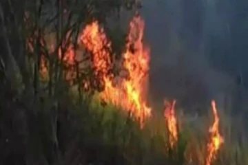 மலையகத்தில் காட்டுப்பகுதிகளுக்கு தொடர் தீ வைப்பு! : தேசிய மின் உற்பத்திக்கும் பாதிப்பு (Photos)