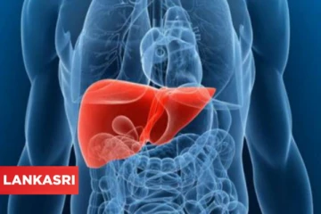 கல்லீரலை வீட்டில் இருந்தபடியே எளிமையாக சுத்தம் செய்யனுமா? இதை சாப்பிட்டால் போதுமே