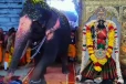 இரணைமடு கனகாம்பிகை அம்மன் ஆலயத்தில் அருள்கொண்டு ஆடிய யானை ; பக்தர்கள் பரவசம்!