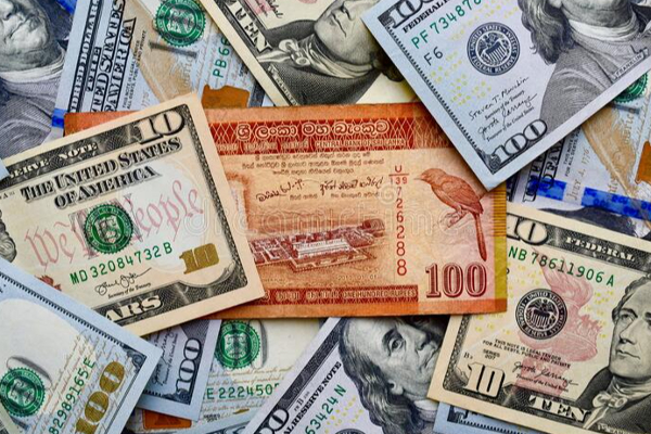 இலங்கையில் இன்றைய டொலர் பெறுமதி! | Today S Dollar Value In Sri Lanka