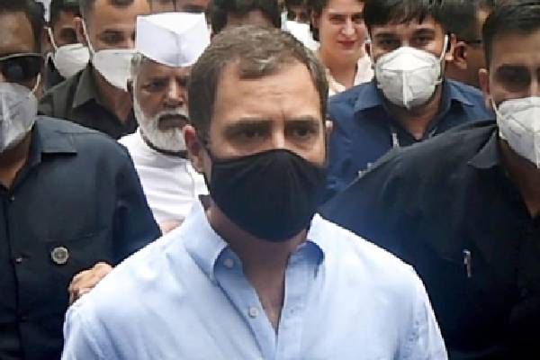 நேஷனல் ஹெரால்டு வழக்கு : அமலாக்கத்துறை அலுவலகத்தில் இன்றும் ஆஜராகிறார் ராகுல் காந்தி - தமிழ்நாடு