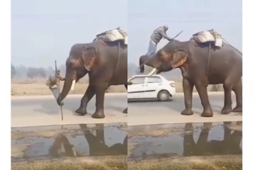 இந்த தாத்தா தான்பா.... ரியல் பாகுபலி! செம ஸ்டைலாக யானை மீது ஏறும் காட்சி வைரல்!