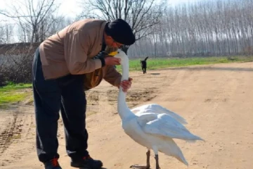 மனைவி இறந்த பிறகு கிடைத்த உறவு...  37 ஆண்டுகளாக நன்றிக்கடன் செய்யும் அன்னப்பறவை