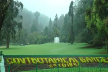 அரசுஅதிகாரிகள் வெளியூர் செல்ல தடை : நீலகிரி மாவட்ட ஆட்சியர் உத்தரவு