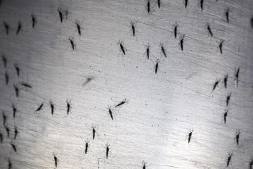 இலங்கையில் வேகமாக அதிகரித்து வரும் மற்றுமொரு ஆபத்தான நோய்!